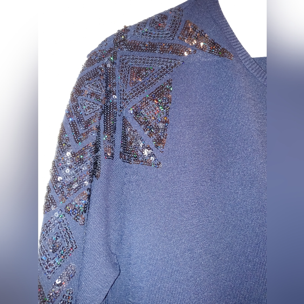 Zara dark blue sweater